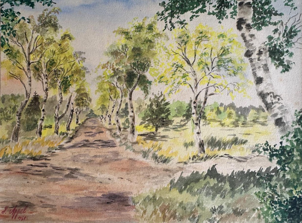 Bosque de Troncos Brancos
