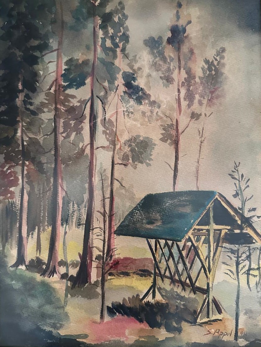 Abrigo de Pensamentos na Floresta